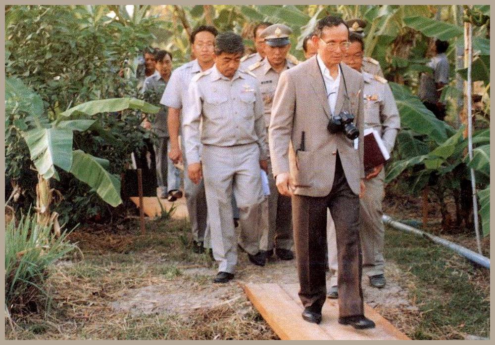 König Bhumibol auf einer Bananenplantage in Phuket