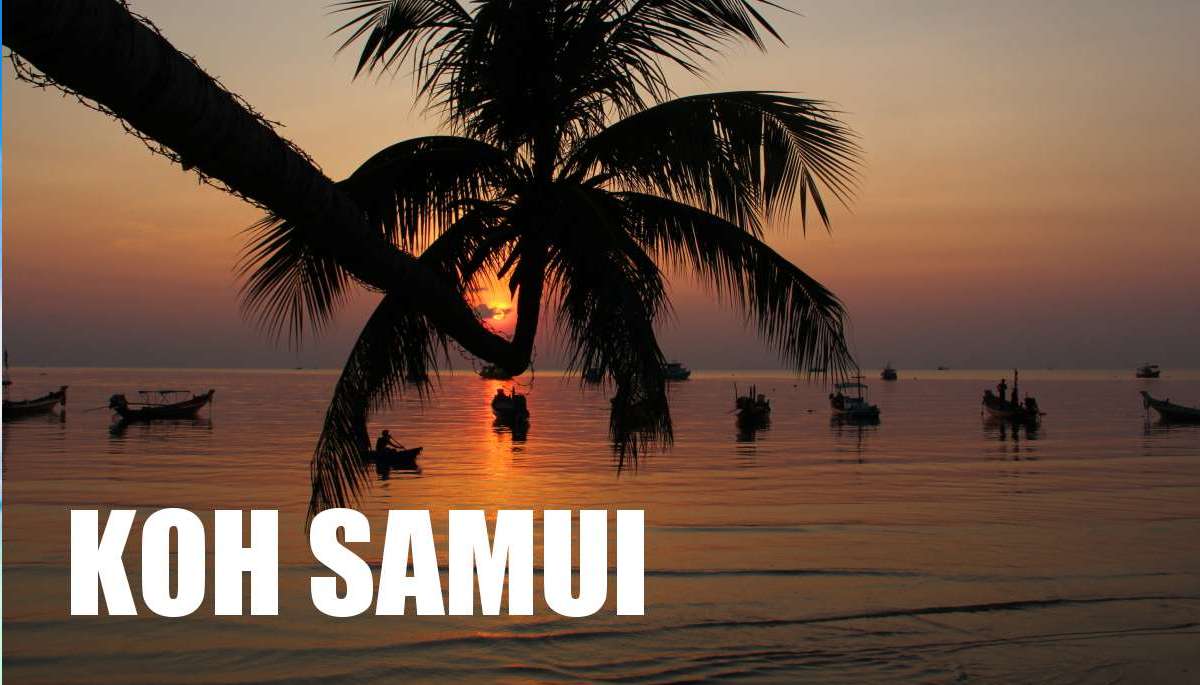 Alles zur Ferieninsel Koh Samui t in Thailand - Hotels, Unterknfte  Lamai Beach Chaweng, Bophut Beach Maenam, Bilder, Samui nightlife, Tauchen, Ausflge & Attraktionen